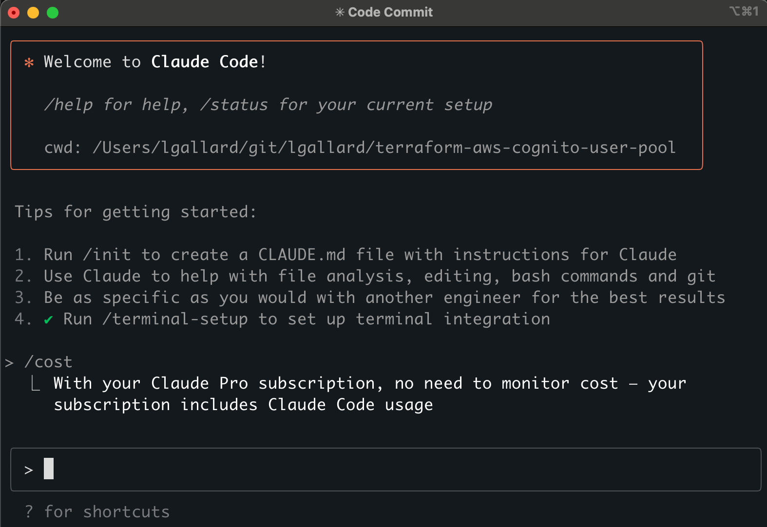 Claude Code CLI